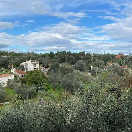Casa Collina - Grottino 別荘