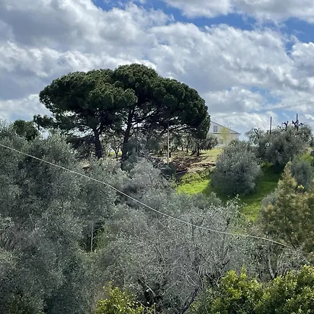Casa Collina - Grottino ピスティッチ